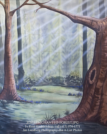 2d03 enchanted forest