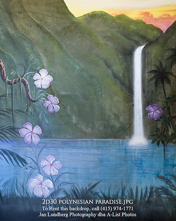 2d30 polynesian paradise