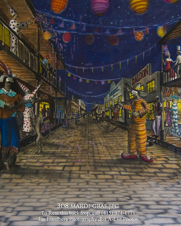 3d8 mardi gras