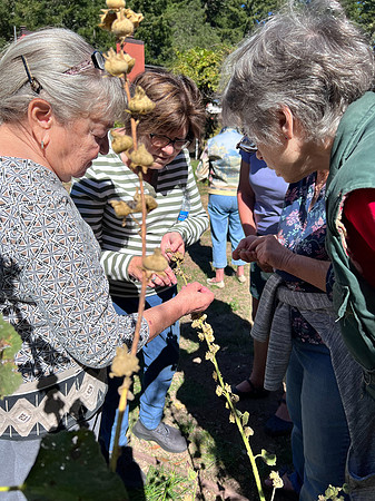 2022Oct2 Garden Club Luncheon 50