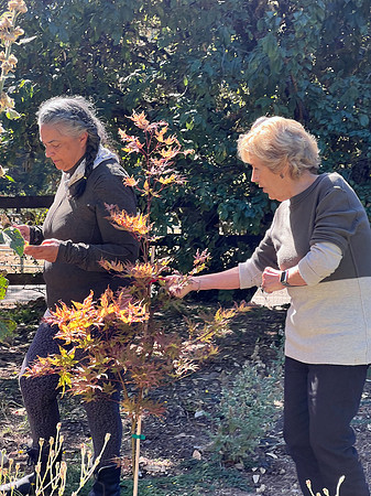 2022Oct2 Garden Club Luncheon 35
