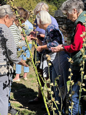 2022Oct2 Garden Club Luncheon 47