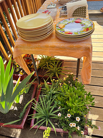 2022Oct2 Garden Club Luncheon 10