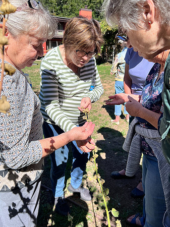 2022Oct2 Garden Club Luncheon 51