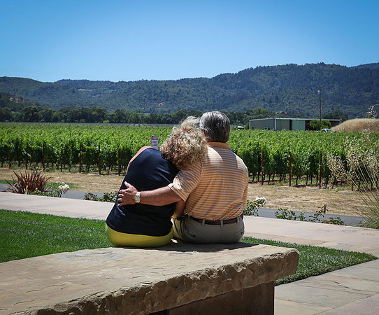 Silver_Oak_Winery_084