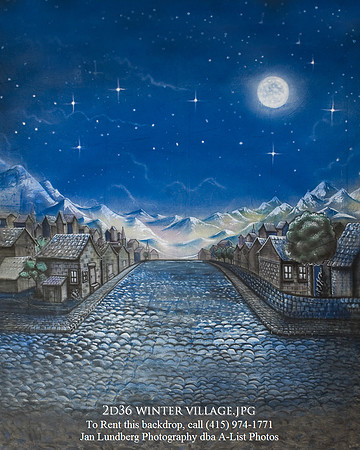 2d36 Winter Village Blue