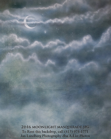 2d16 moonlight masquerade_01