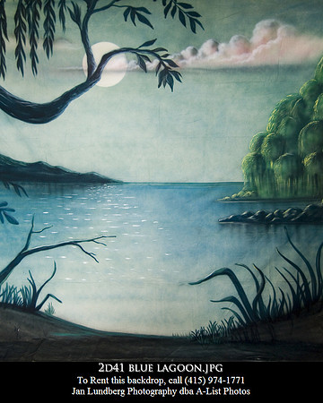 2d41 blue lagoon