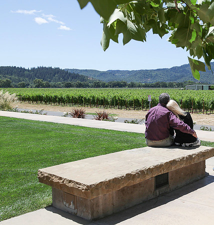 Silver_Oak_Winery_074
