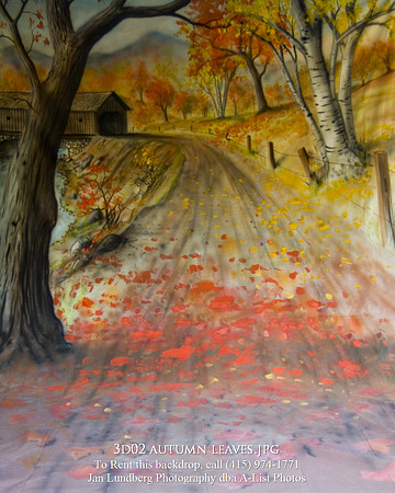 3d02 autumn leaves