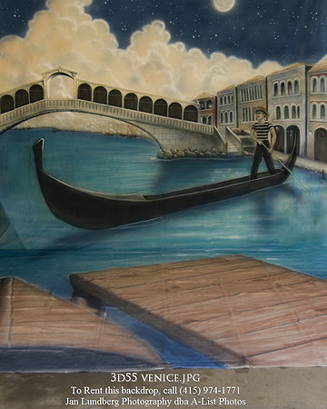 3d55 venice