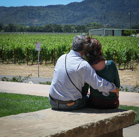 Silver_Oak_Winery_070