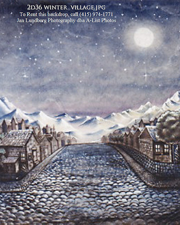 2d36 winter  village