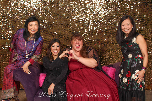 2023 Elegant Evening 019