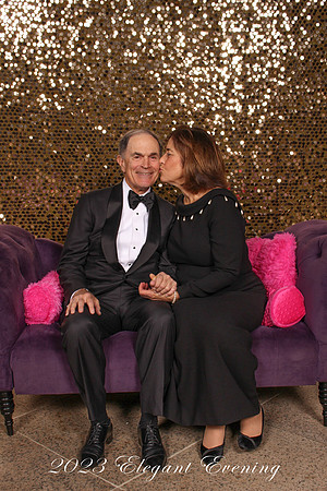2023 Elegant Evening 022