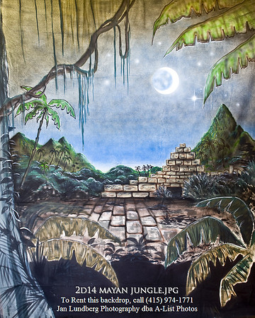 2d14 mayan jungle