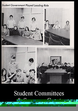 Committees