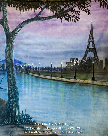 2d29 Parisian night