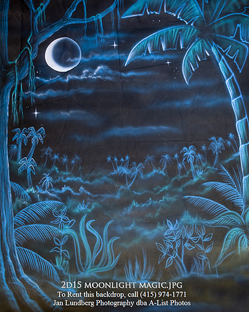 2d15 moonlight magic