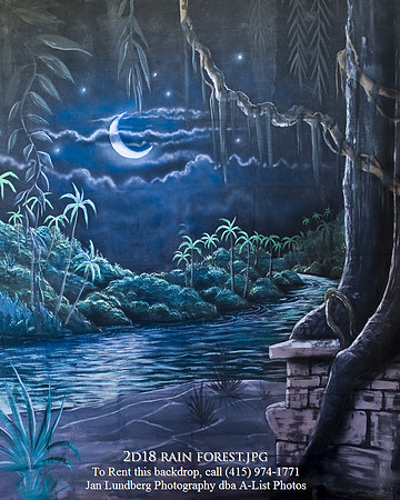 2d18 rain forest