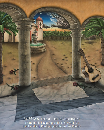 3d79 south of the border