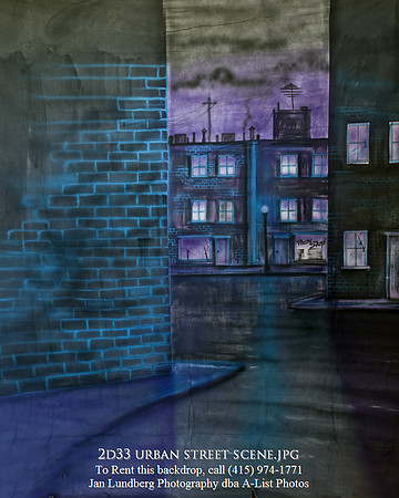 2d33 urban street scene