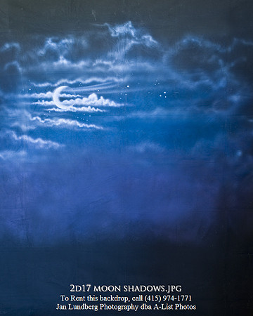 2d17 moon shadows
