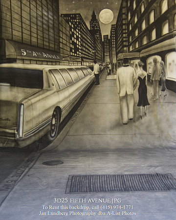 3d25 fifth avenue