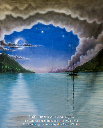 2d21 tropical island
