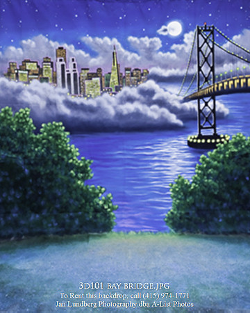 3d101 BayBridge