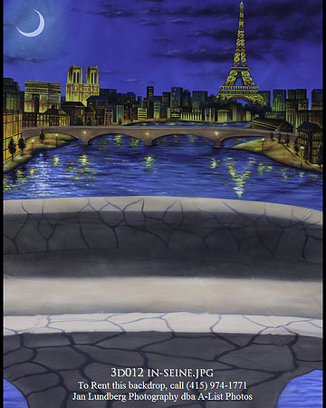 3d012 in-seine