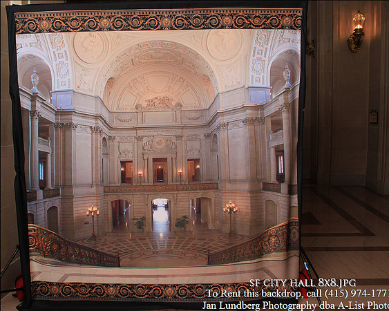 SF City Hall 8x8